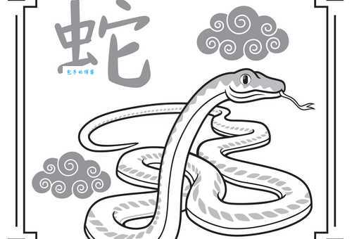 望子成龙,十二生肖中哪个最符合?