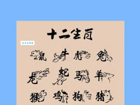 “天罗地网”指什么动物?快来测试你的生肖知识!