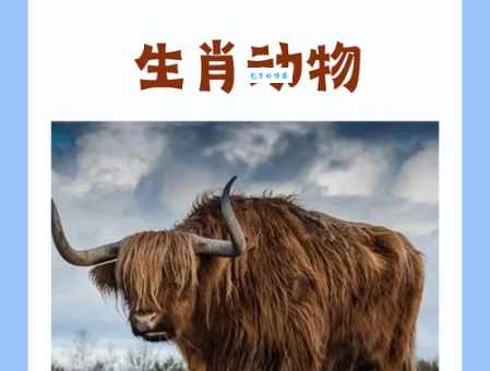 富可敌国打一生肖动物,你知道答案是什么吗?