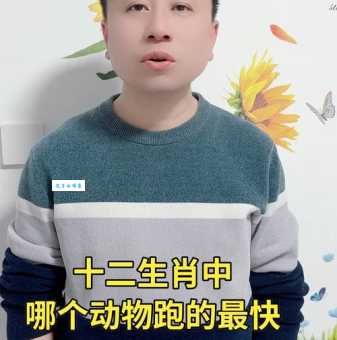 童叟无欺,十二生肖里哪个动物最符合?