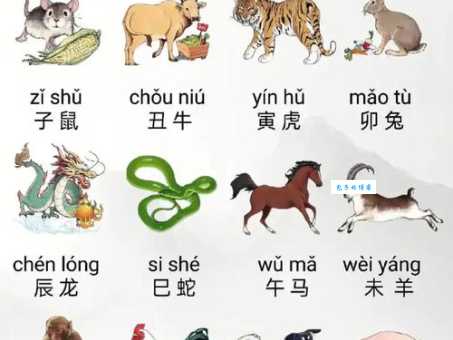 一日之长是哪个生肖动物?多种说法大比拼!