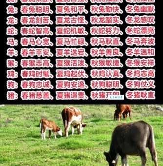 春色满园指什么生肖?寓意美好象征什么?