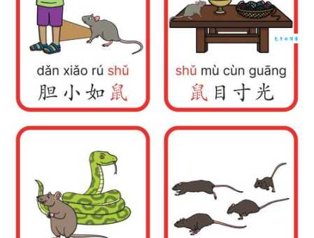 急!日暮途穷指什么生肖?深度解析生肖与成语关系