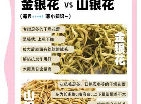 银花究竟是哪个生肖？传统文化解读与现代观点碰撞