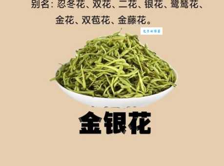 银花究竟是哪个生肖？传统文化解读与现代观点碰撞
