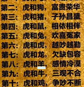 龙争虎斗代表什么生肖？简单易懂的生肖解释