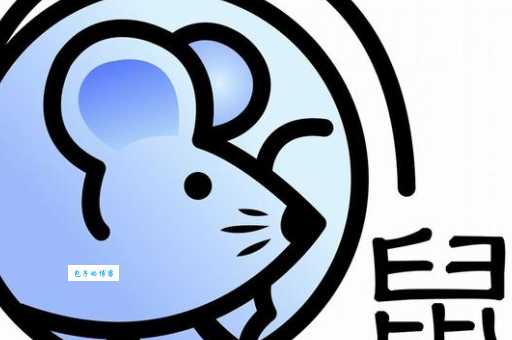 胆小如鼠是哪个生肖?深度解析生肖性格特点