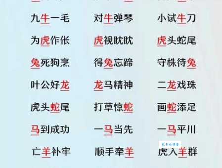 胆小如鼠是哪个生肖?深度解析生肖性格特点