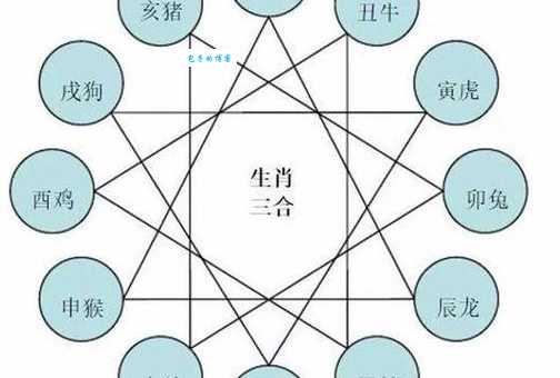 显赫一时代表什么生肖?深度解读生肖与兴衰