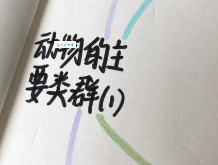 物以类聚是什么动物？不同解释下的动物解读