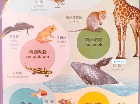众多非一打一动物大揭秘:了解那些不为人知的奇特生物