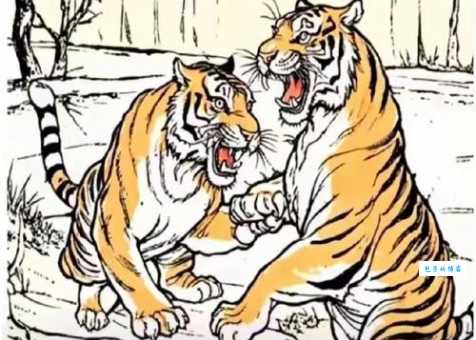 谁与争锋比喻什么动物?虎兔之争,谁是王者?