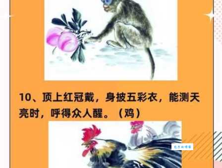 谜语:假公营私打一生肖,聪明人一眼就能看穿!