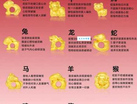 相机而行对应哪个生肖?多种答案等你发现