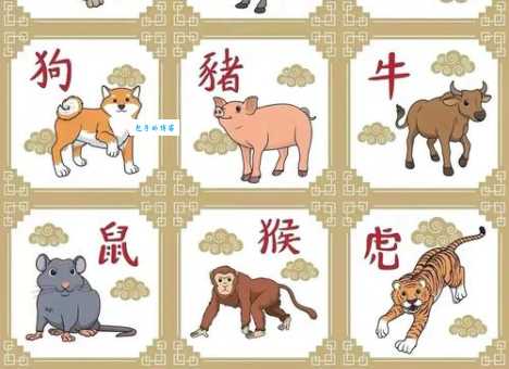 原野狂舞是什么动物?鸡牛马羊哪个是答案?