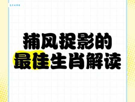 捕风捉影对应哪个生肖?你猜对了吗?答案就在这里!