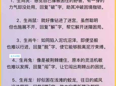 年久失修是什么生肖?揭秘隐藏的生肖动物