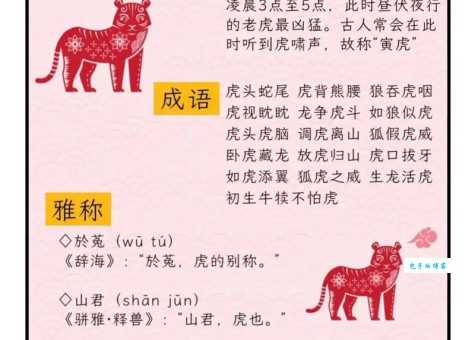 掩耳盗铃打一生肖动物,你猜对了吗?