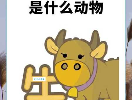好吃懒做打一准确生肖：究竟是哪种动物这么惬意？