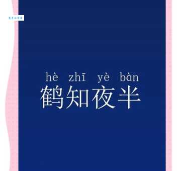 鹤知夜半打一生肖指什么动物?答案揭晓!