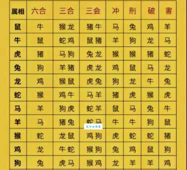 千家万户是什么生肖？详解十二生肖与家庭的关联