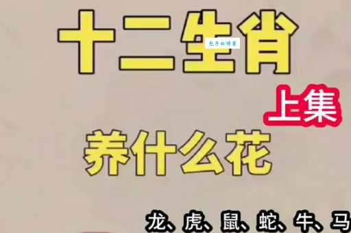 花颜月貌究竟是哪个生肖?详解生肖与美丽传说