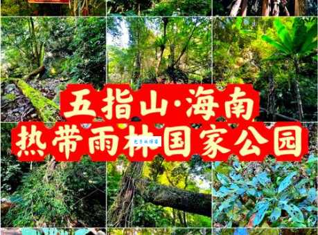 拍一个巴掌猜地名，答案揭晓：神奇的五指山！
