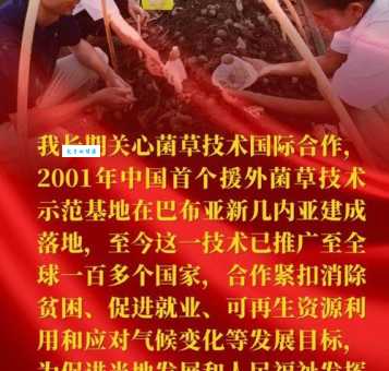 南南合作是什么意思？发展中国家间的合作模式详解