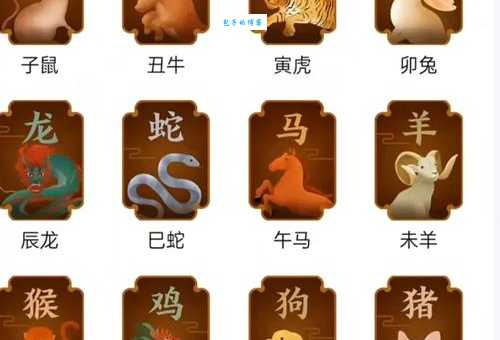 冏冏有神代表什么生肖?解析十二生肖动物眼神特点