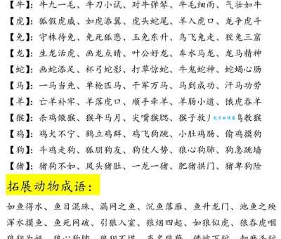 冏冏有神代表什么生肖?解析十二生肖动物眼神特点