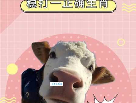 忍辱负重打一正确的生肖是什么动物?