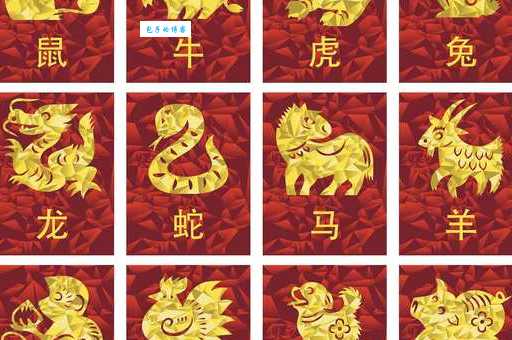 花枝招展指的是什么生肖?揭秘金枝招展的生肖寓意