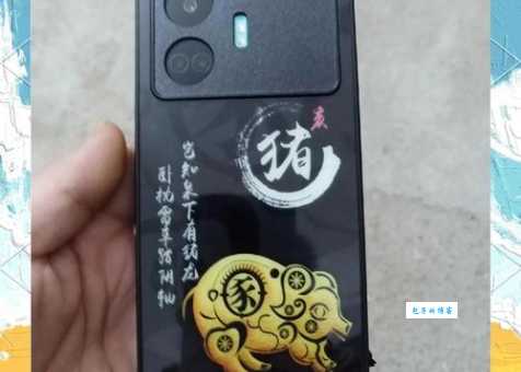 过往之猪什么意思？1935年和1995年出生的猪宝宝命运如何？