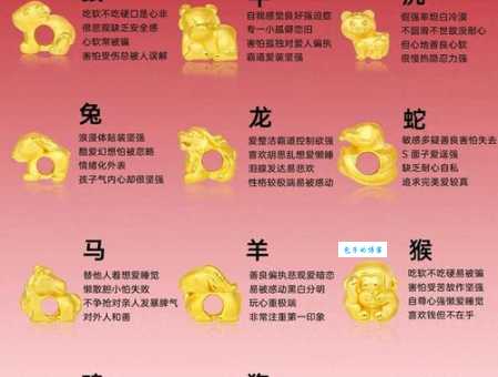 放之四海皆准指什么生肖?十二生肖中哪个最符合?