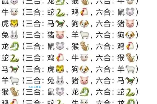 放之四海皆准指什么生肖?十二生肖中哪个最符合?