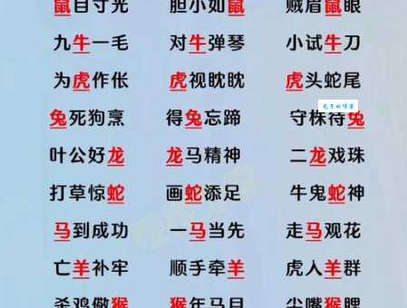 解读二缶钟惑:这个成语究竟代表什么生肖?