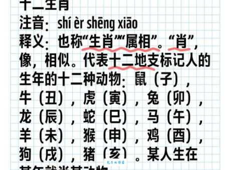 解读二缶钟惑:这个成语究竟代表什么生肖?