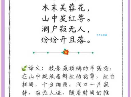出水芙蓉打一花名:答案揭晓,猜猜是什么花?