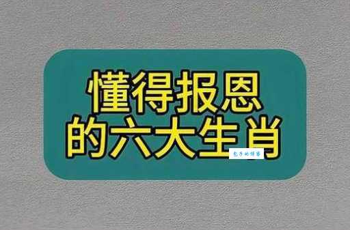 哪个生肖最知恩图报?解析生肖与感恩的关系