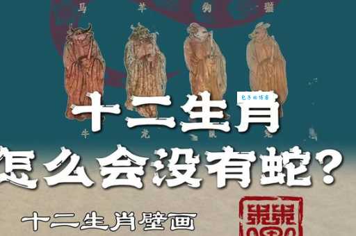 猜生肖:强龙不压地头蛇,到底是谁?