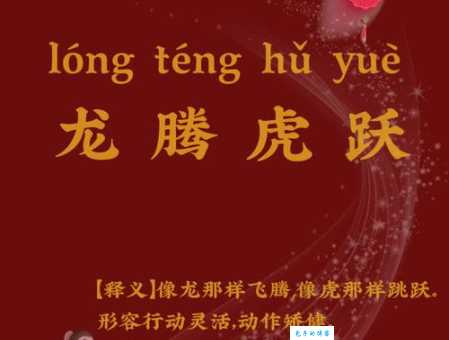 虎虎生风：十二生肖中它最符合这个成语