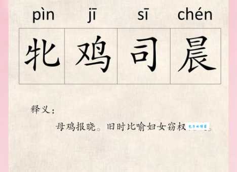 牝鸡司晨究竟指什么生肖?深度解析成语背后的含义