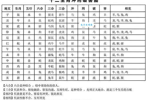 你知道老迈龙钟对应的是哪些生肖吗？快来测试一下