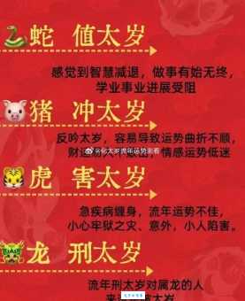 你知道老迈龙钟对应的是哪些生肖吗？快来测试一下