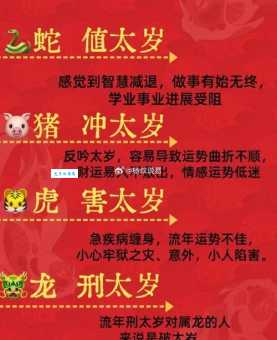 “十室九空”暗指哪个生肖？快来揭秘答案！
