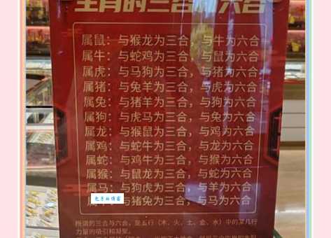 三流九教对应哪个生肖?趣味谜题等你解答!