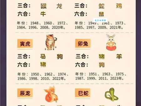 三流九教对应哪个生肖?趣味谜题等你解答!