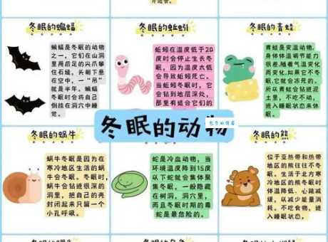 你知道“无冬无夏”打一动物是什么吗？快来测试你的知识！