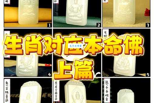 临时抱佛脚是哪个生肖的特性?深度解析生肖与应急策略