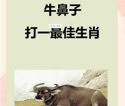 哪个生肖最会抓牛鼻子？从生肖性格看机遇与挑战